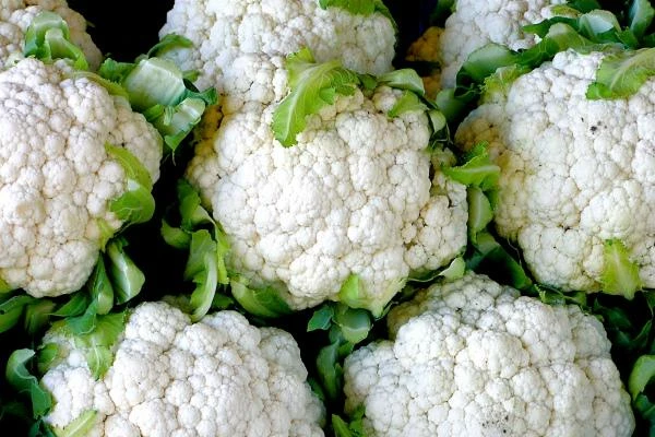 Cauliflower and Broccoli Market in Latin America and the Caribbean - Key Insights